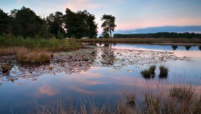 Wandelen in Brabant 